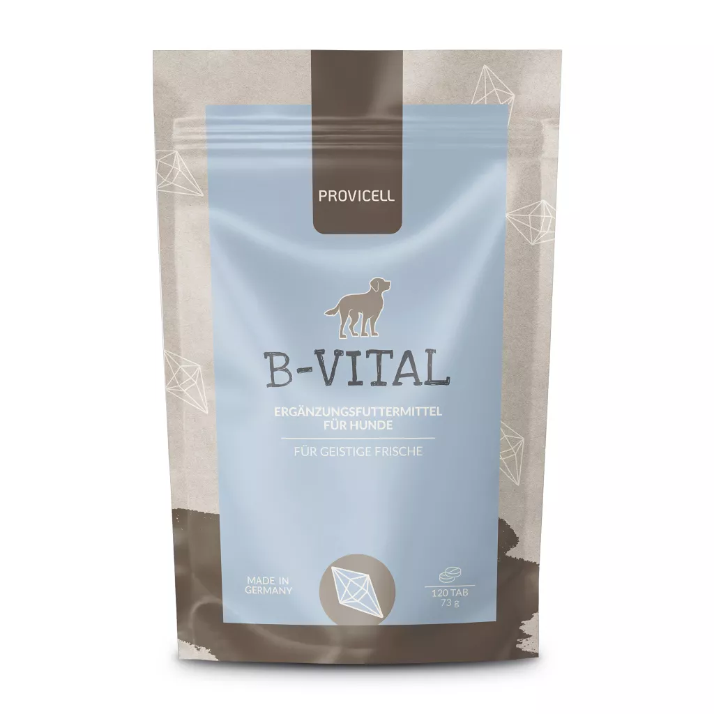 Provicell - B Vital, 120 Stück | Kapseln