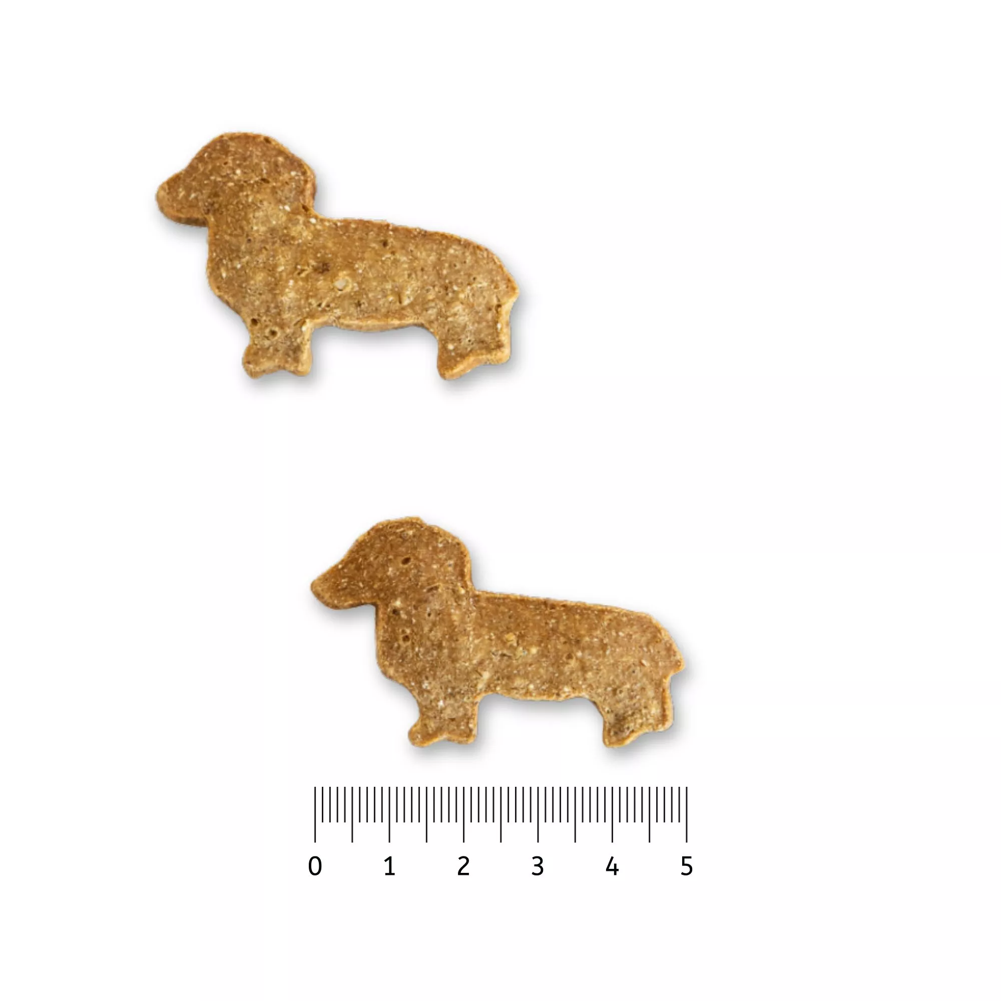 Pummel & Friends Dackelliebe 210g | getreidefreie Hundekekse