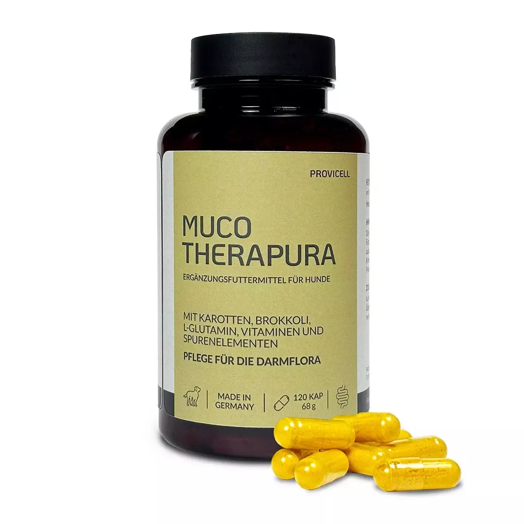 Provicell - Muco Therapura - Darmflora, 120 Stück | Kapseln