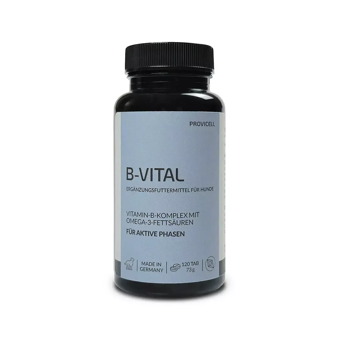 Provicell - B Vital, 120 Stück | Kapseln