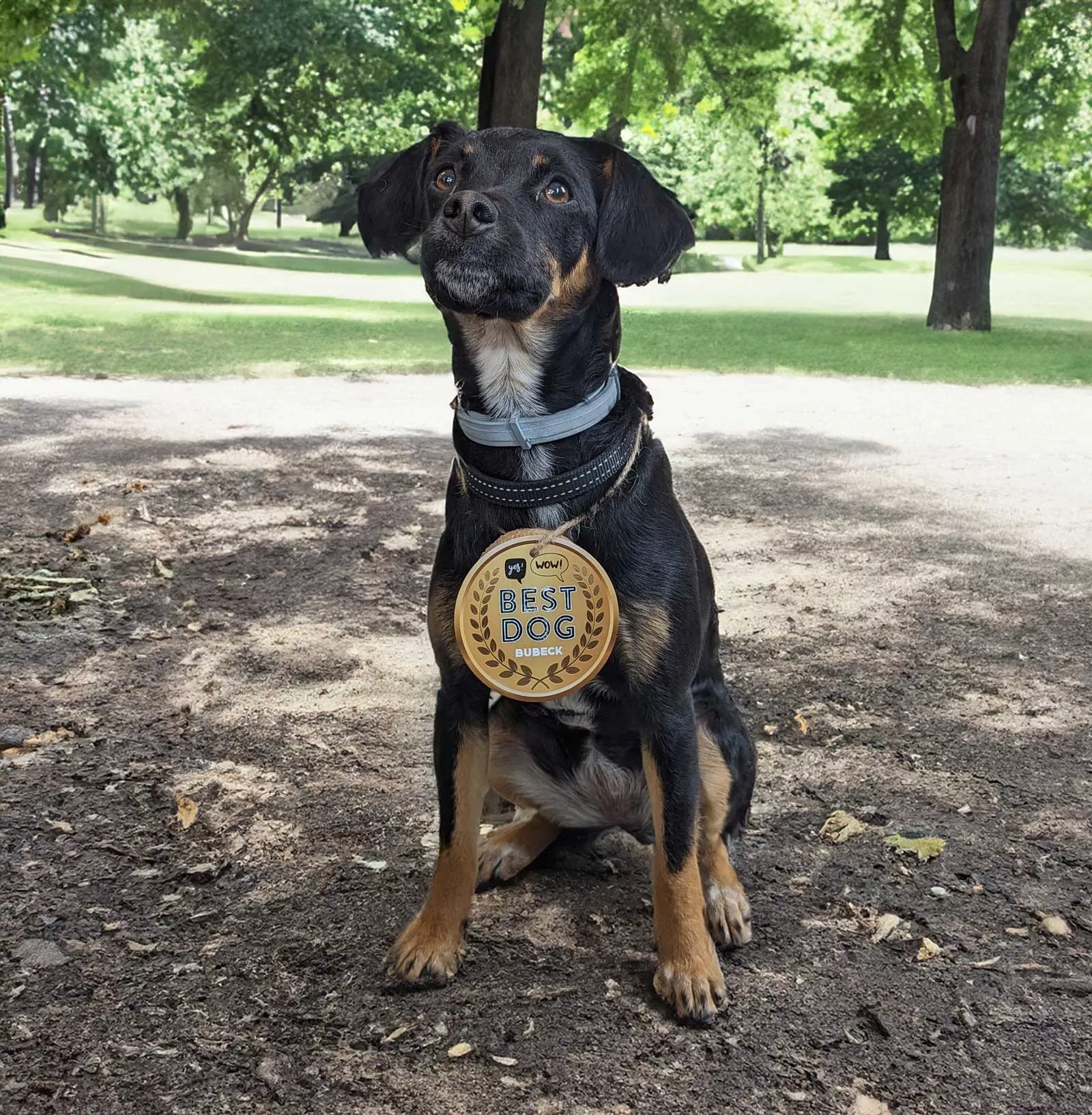 Bubeck - Hundekuchen - Medaille - 1 Stück